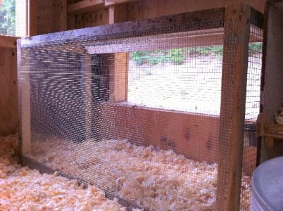A Chicken Safe Place:  DIY Instructions Image